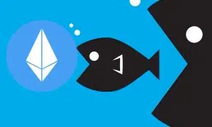 Big whales stock up on Ethereum (and are fond of SHIB). Should the small fish follow?