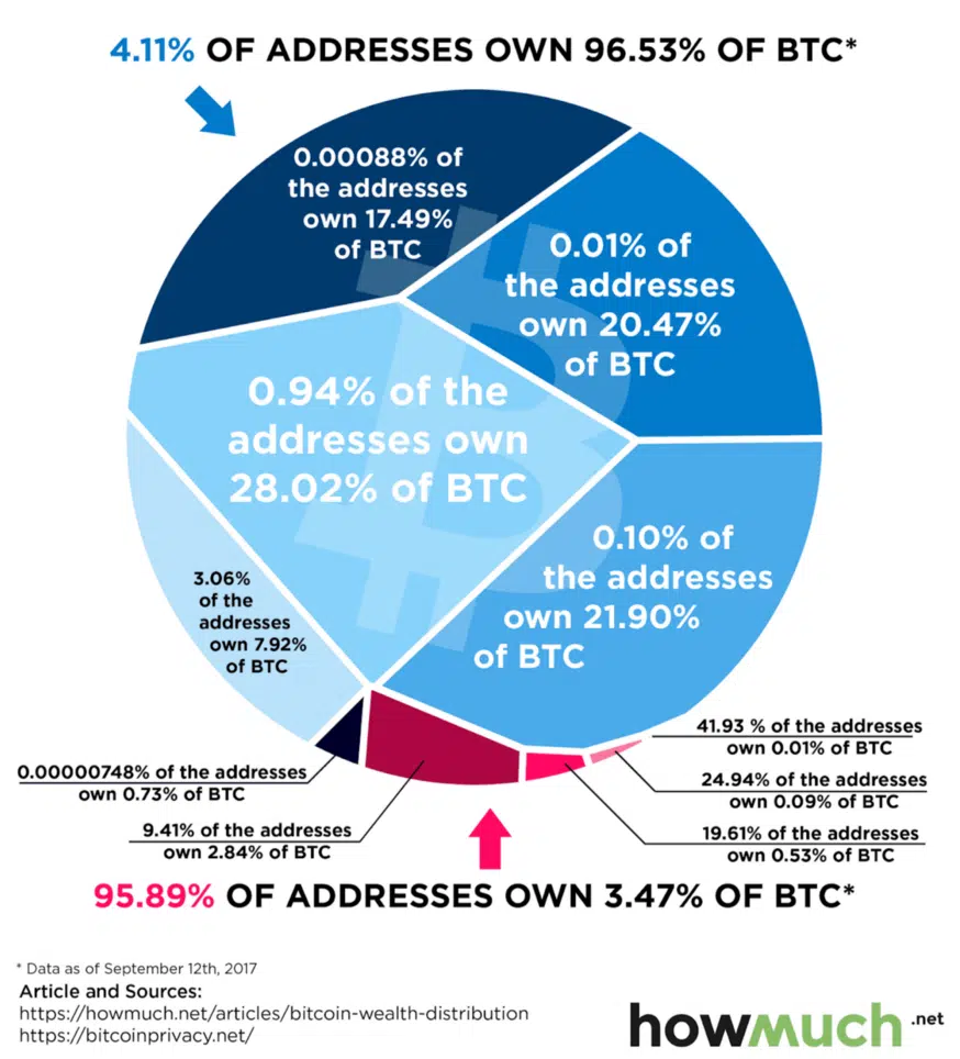 The Bitcoin wealth Distribution