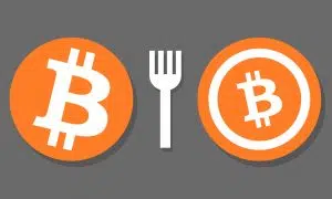 What are soft and hard forks and how to make money on them?