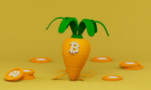 Bitcoin’s Taproot Upgrade. What is it and how has it helped investors?