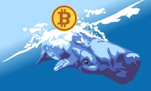 Are Bitcoin whales stranding? One of the largest hodlers began to withdraw their BTC — is it time to panic (again)?