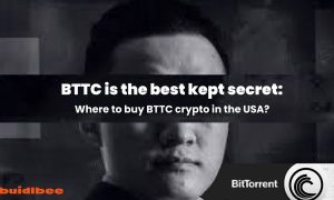 Where to buy BTTC crypto tokens in USA?