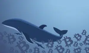 Whale song: BTC holder made a big transaction for the first time in 5 years — why is this a bad sign?