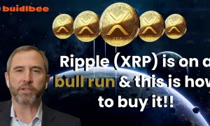 Where to buy Ripple (XRP) and how to do it? Coin Review
