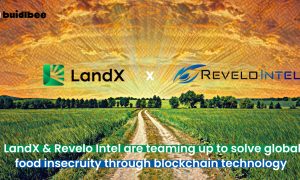 LandX and Revelo Intel partner up to solve food insecurity