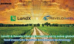 LandX and Revelo Intel partnership review