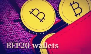 Five best BEP20 crypto wallets