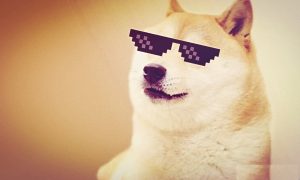 A new era for the meme coin: Dogecoin’s capitalization grew by $5 billion in five weeks