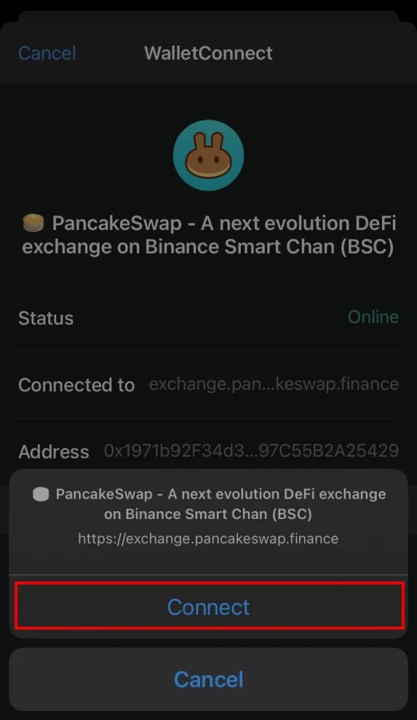 no-provider-was-found-pancakeswap-8edit