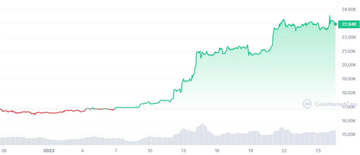 BTC 30 days price value. Source: CoinmarketCap