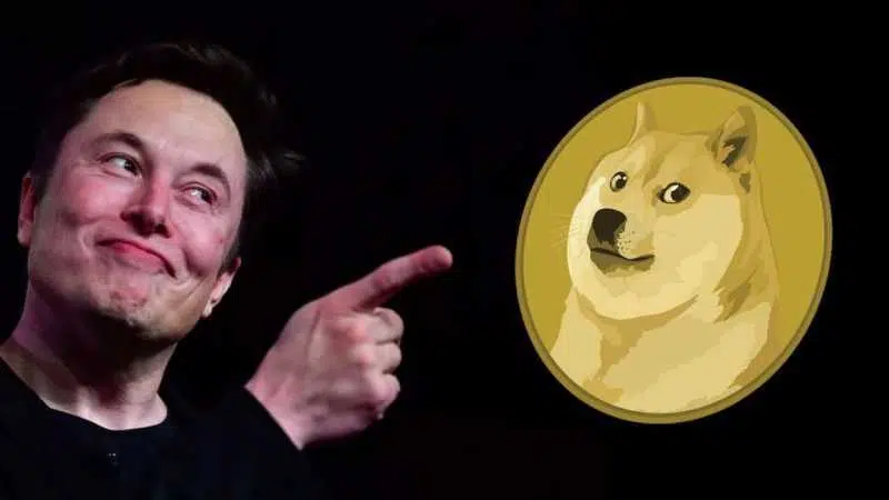Elon Musk's favourite crypto - 2019