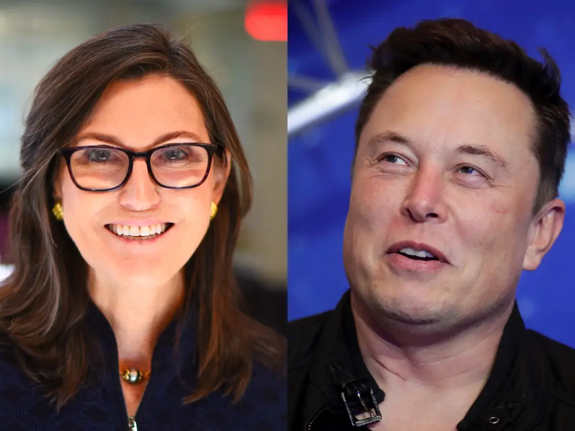 Cathie Wood and Elon Musk