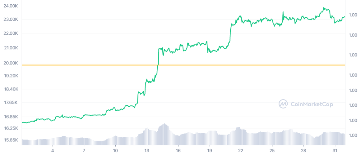 BTC/USD Pprice chart for January 2023 - Bullish. Peak of ,000 reached