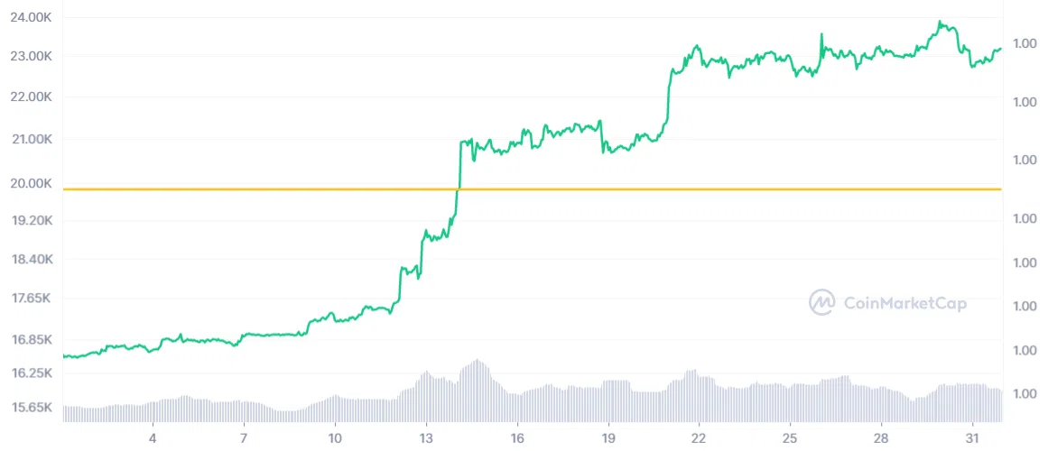 BTC/USD Pprice chart for January 2023 - Bullish. Peak of ,000 reached