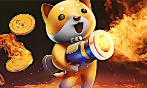 BABYDOGE in top 100 cryptocurrencies with coin burn currently ongoing