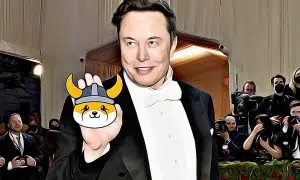 Where is the crypto market heading, and why Elon Musk has a new favorite doggo? Exclusive opinions by traders & degens