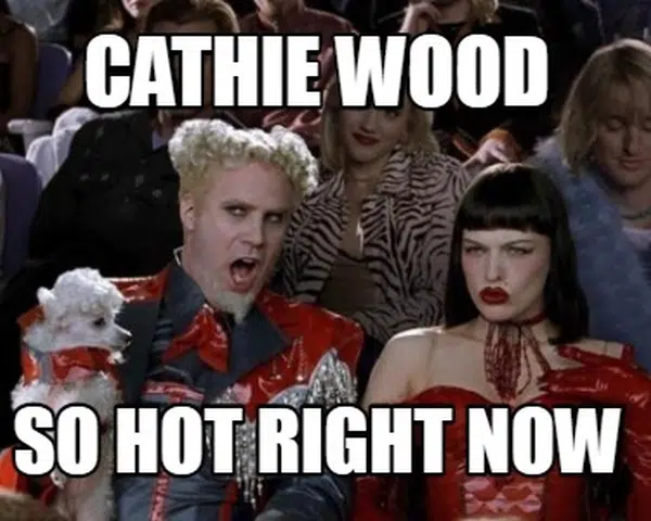 Catie Wood meme
