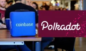 What is the polkadot coin used for?