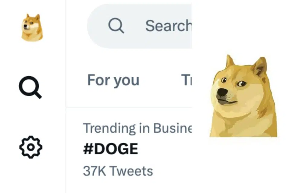 Twitter logo replaced with Dogecoin