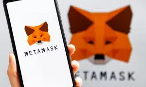 How To Connect MetaMask to Binance Smart Chain?